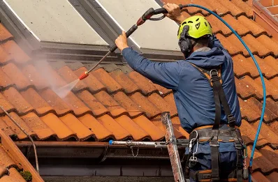 Démoussage et hydrofuge de toiture à Verrie
